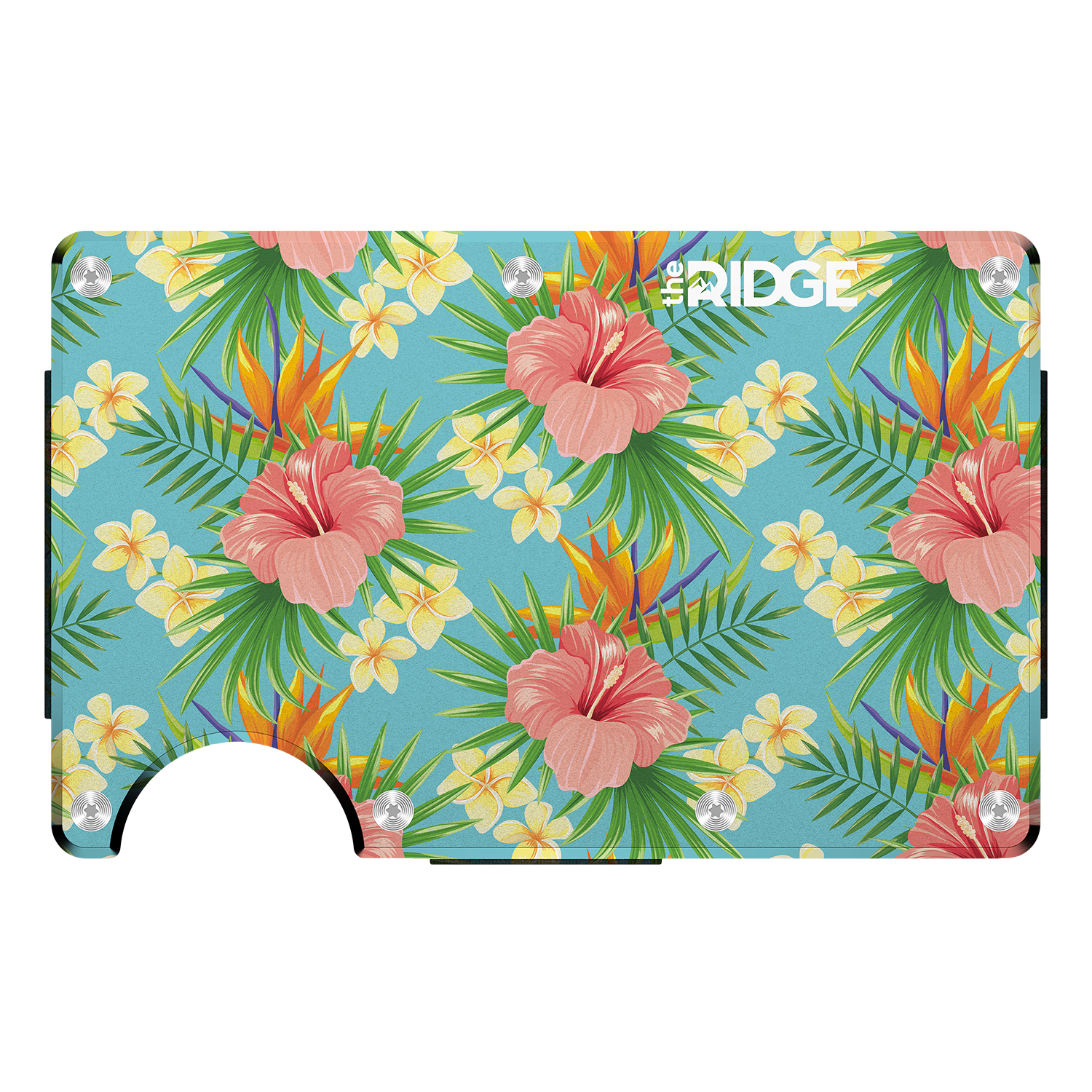 Money Clip
